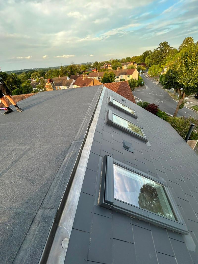 Domestic flat roof with rooflights